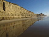 lowtide